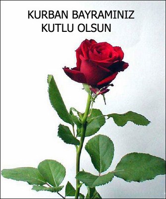 Kurban Bayramınız Kutlu Olsun