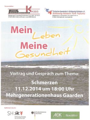 Mein Leben – Meine Gesundheit: Schmerzen