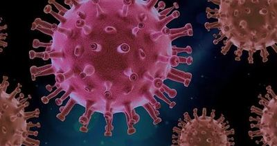 Impfstoff gegen das Coronavirus