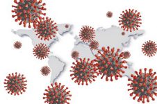 Konona Virüs Salgini ve Çalişmalarimiz